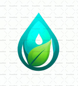 Wassertropfen und Blatt